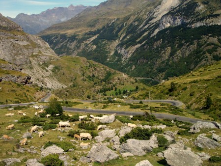 Cesta do sedla Col de Tentes